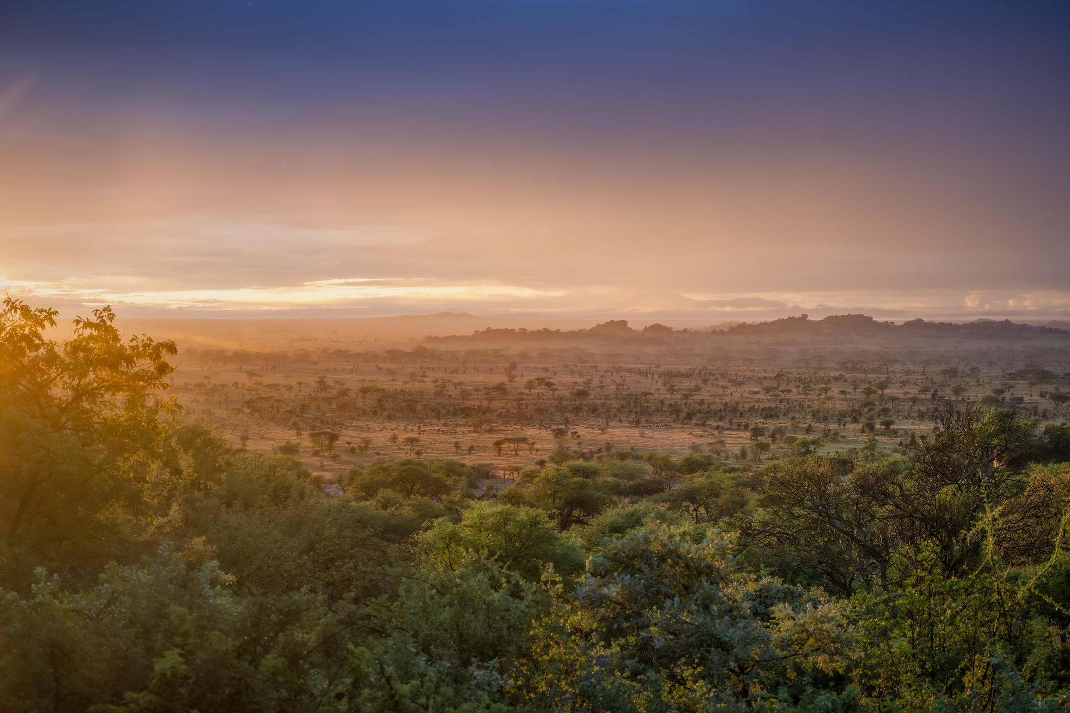 Sunrise at Pioneer Camp in Tanzania
