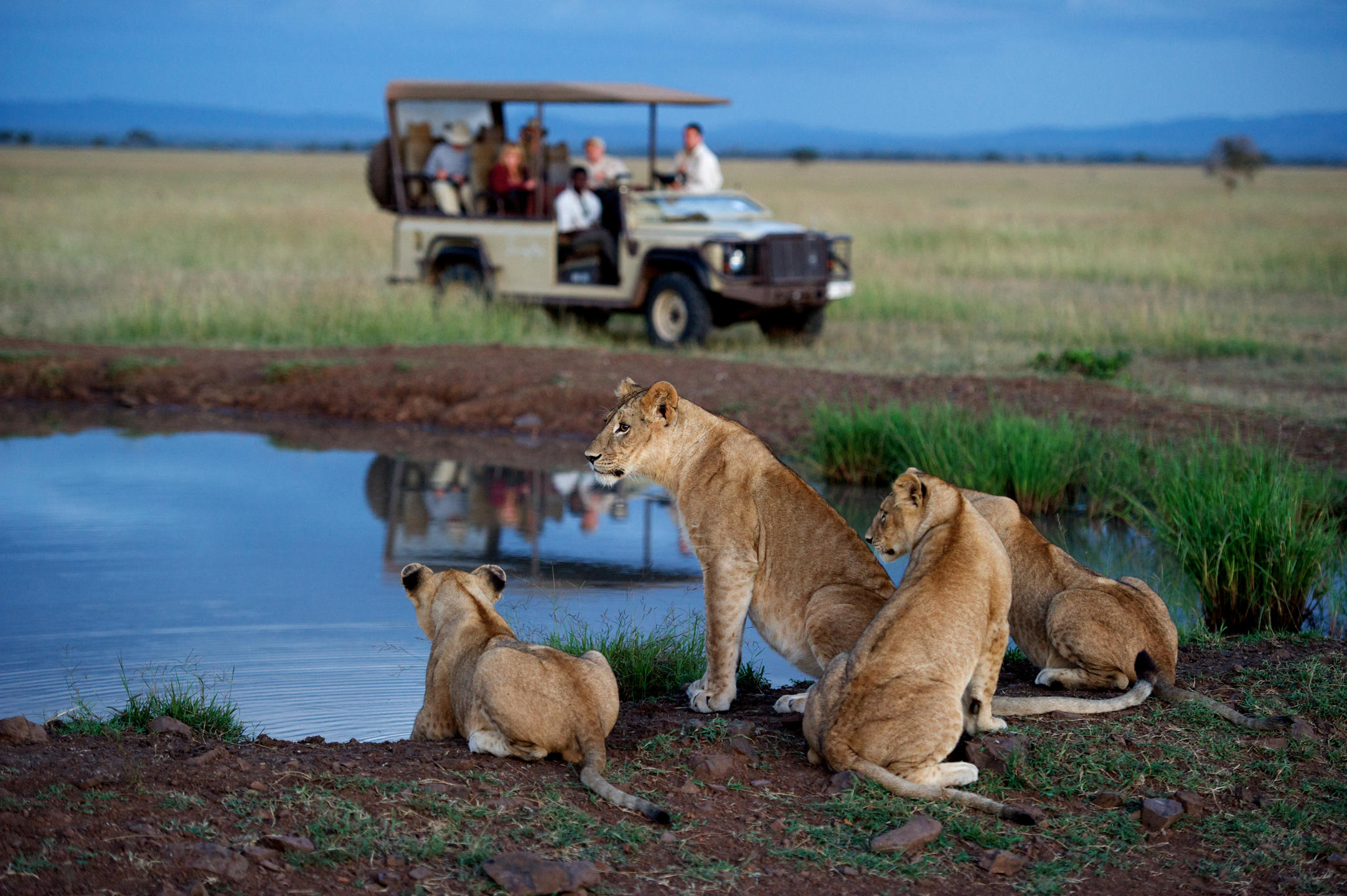 Panoramic view across Tanzania's Serengeti plains
